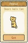 Adorable Home: List and characteristics of all cats in the game