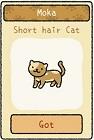 Rumah yang menggemaskan: Daftar dan karakteristik semua kucing dalam game