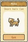 Adorable Home: List and characteristics of all cats in the game