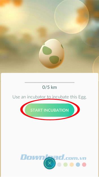 Jajka i jak wykluć się w Pokémon Go