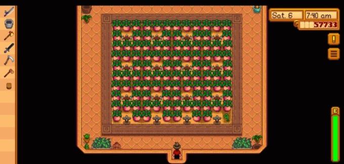 Stardew Valley tips and tricks everyone needs to know