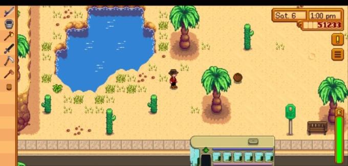 Stardew Valley tips and tricks everyone needs to know