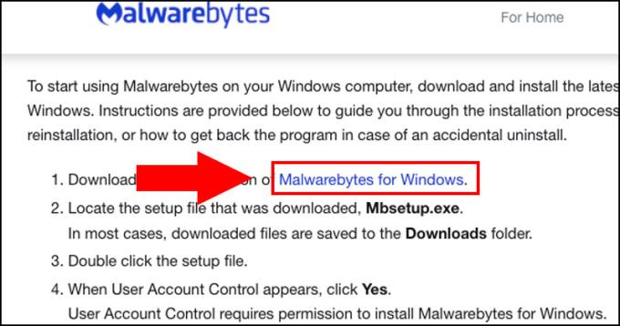 Apa itu Malwarebytes?  Cara menggunakan Malwarebytes membuang malware