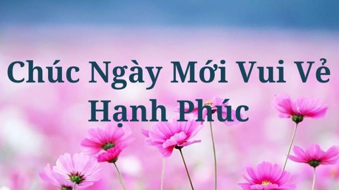 मेमे क्या है?  वियतनाम में शीर्ष 10 सबसे लोकप्रिय और सार्थक फेसबुक मेमे