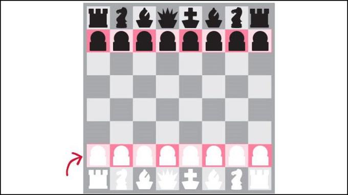Arahan catur asas dan sederhana untuk pemula