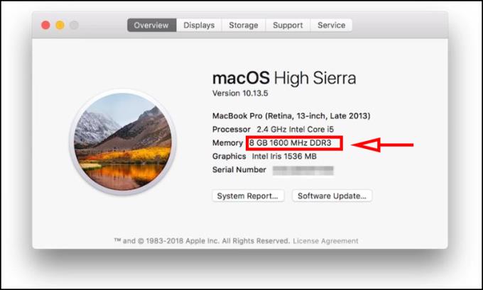 Apakah bas RAM?  Cara melihat dan memeriksa bas RAM Windows, komputer macOS