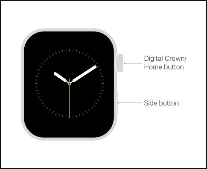 Um guia para iniciantes no uso do Apple Watch de A a Z