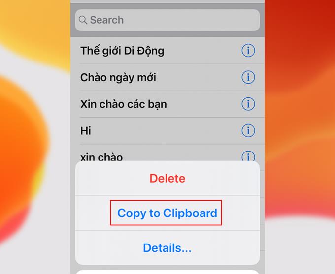 How to manage, review or delete copied text on iPhone, iPad