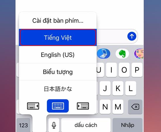 8 Step texting Vietnamese voice on iPhone iPad