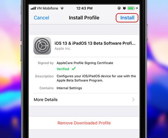 The fastest guide to install iOS 13 through OTA 2019