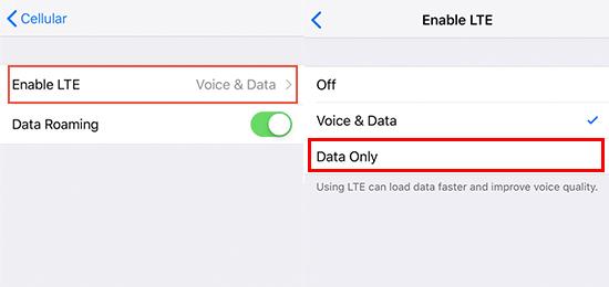 Come correggere l'errore che non può accedere alla rete mobile su iOS 12.1.2