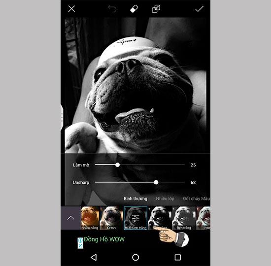 Guia para fotos de retrato padrão como iPhone 8 Plus