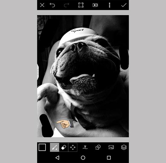 Panduan untuk foto potret standar seperti iPhone 8 Plus