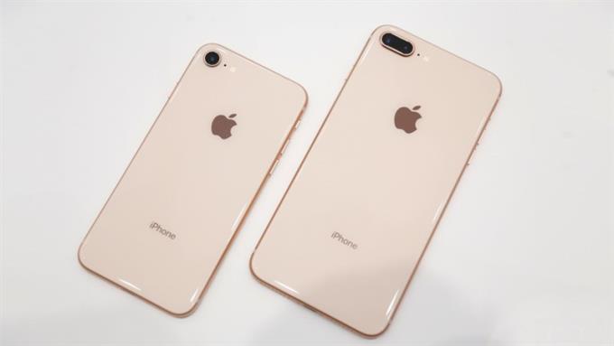 iPhone7とiPhone8、どちらを購入すればよいですか？