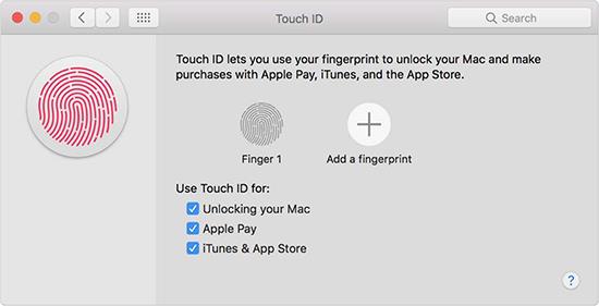 Was ist der Fingerabdruckleser auf dem Macbook?
