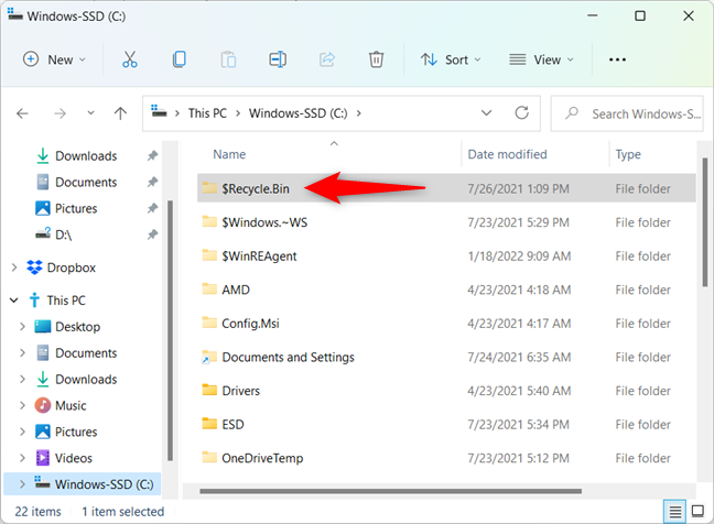 Where is the Recycle Bin in Windows 10 and Windows 11?