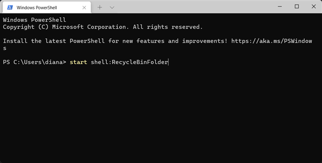 Where is the Recycle Bin in Windows 10 and Windows 11?