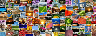 Come aggiungere metadati alle foto, in Windows 10