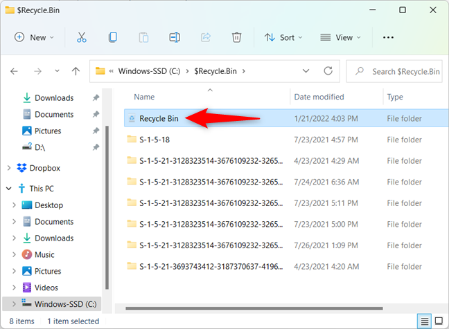 Where is the Recycle Bin in Windows 10 and Windows 11?