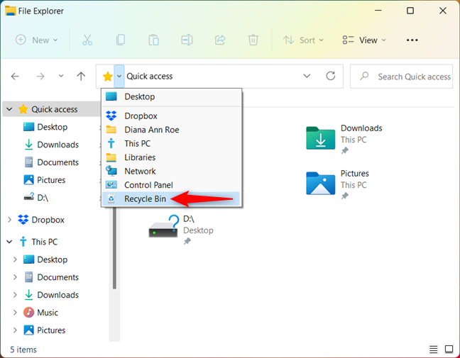 Where is the Recycle Bin in Windows 10 and Windows 11?