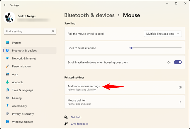 How to use custom mouse cursors in Windows