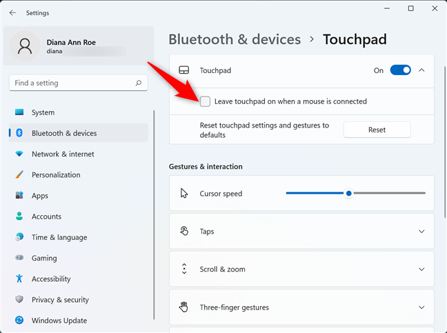 How to disable the touchpad on Windows 11