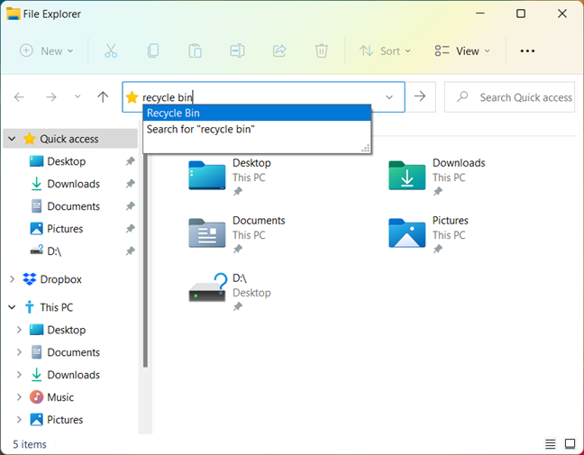 Where is the Recycle Bin in Windows 10 and Windows 11?