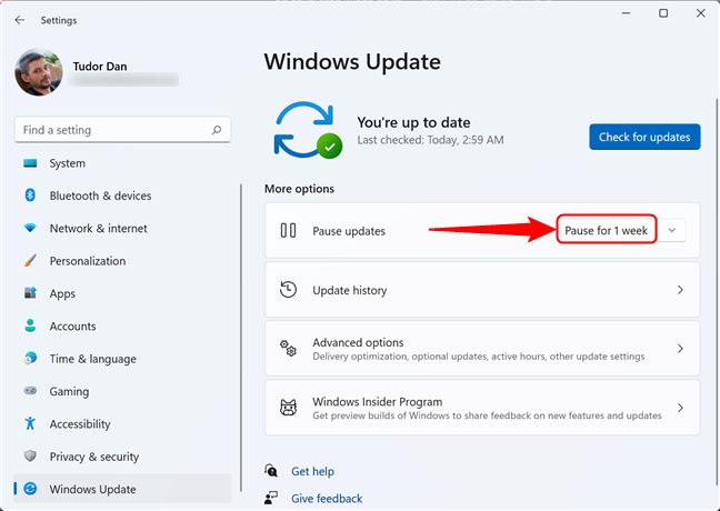 How to pause Windows 11 updates