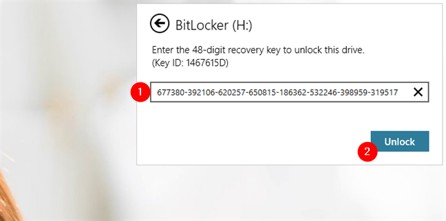 Get access to a BitLocker-encrypted USB drive when you forget its password