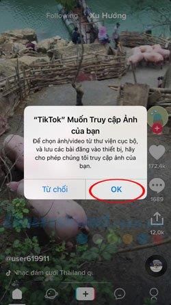 Comment utiliser les vidéos TikTok comme fond d'écran de téléphone