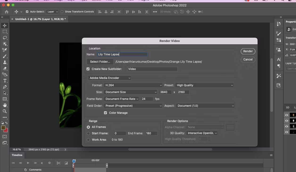 Comment créer une vidéo accélérée de fleurs épanouies