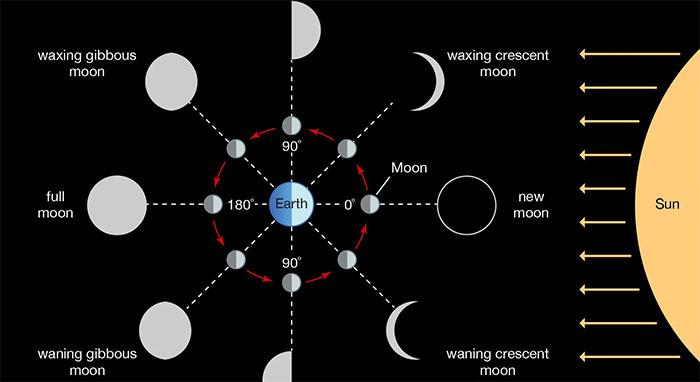 Instrucciones para crear la tendencia de la fase lunar.