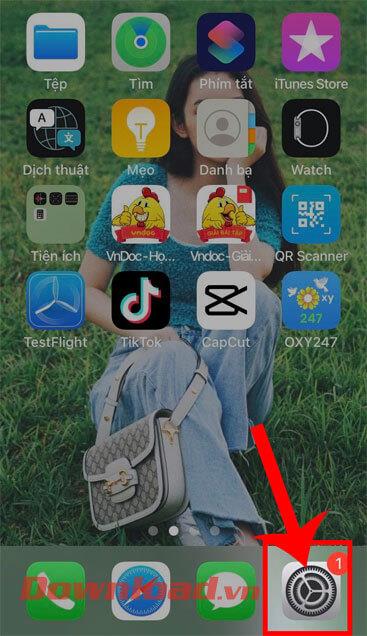 使用 QuickPath 功能在 iPhone 键盘上绘图的说明