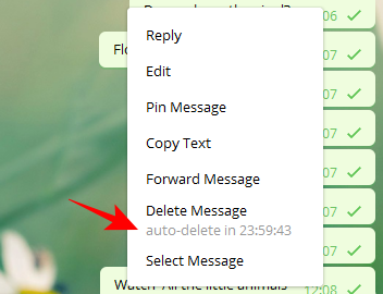 Comment envoyer des messages autodestructeurs sur Telegram