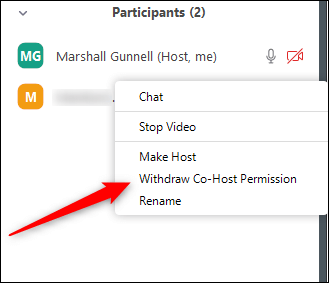 Host permissions and how to specify co-host in Zoom