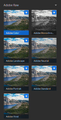 Comment utiliser les commandes d'édition et les préréglages dans Adobe Lightroom