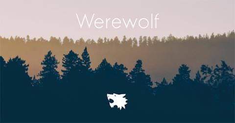 Instructions for the card game Werewolf Online on computer