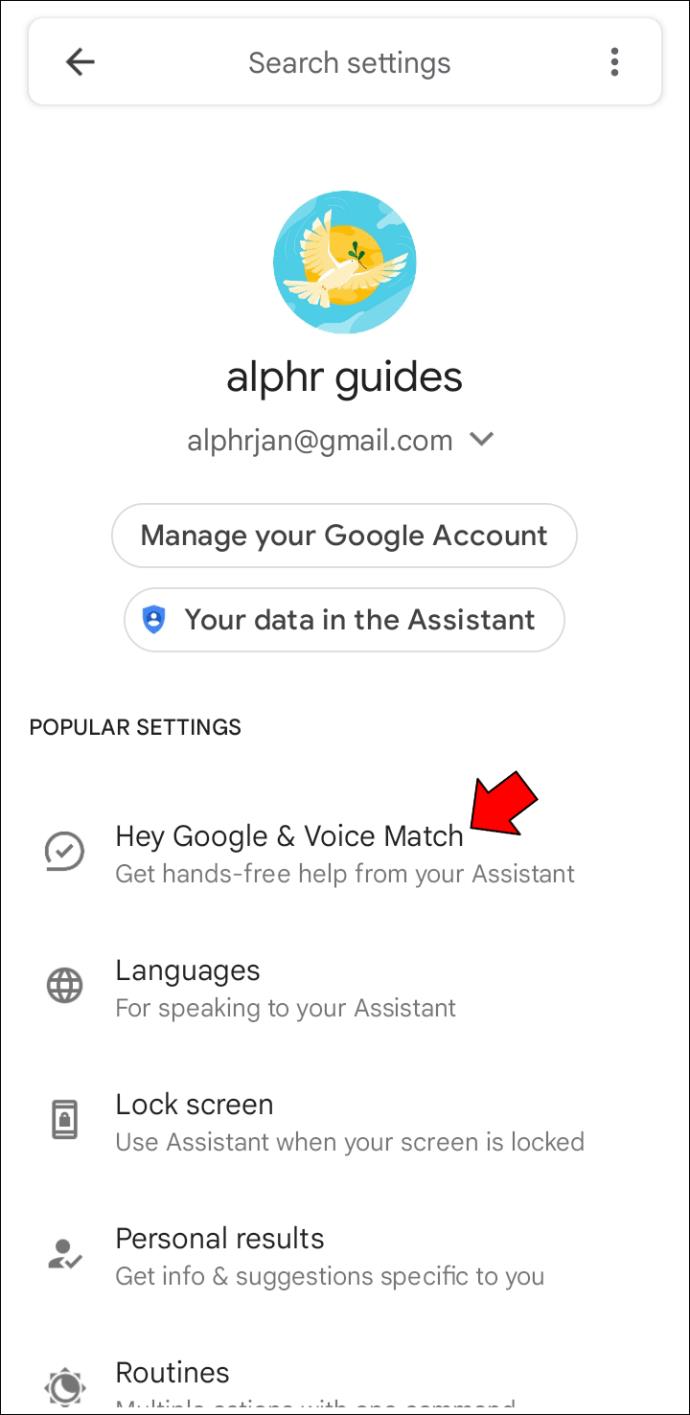 如何打開和管理 Google Assistant 設置