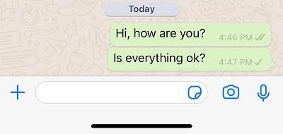 Pourquoi mon message n'a-t-il qu'un seul tick dans WhatsApp ?