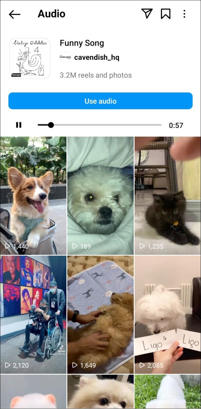 Le migliori canzoni di Instagram Reels