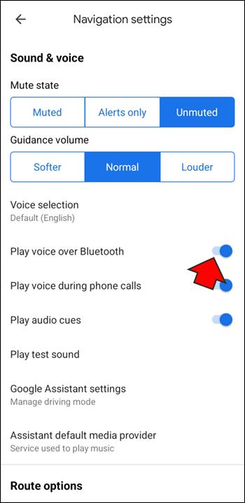 Comment réparer Google Maps Voice ne fonctionne pas