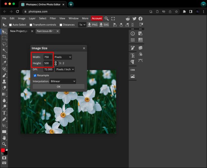 How To Resize An Image In PhotoPea