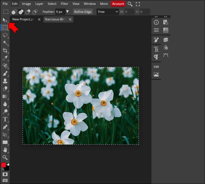 Comment redimensionner une image dans PhotoPea