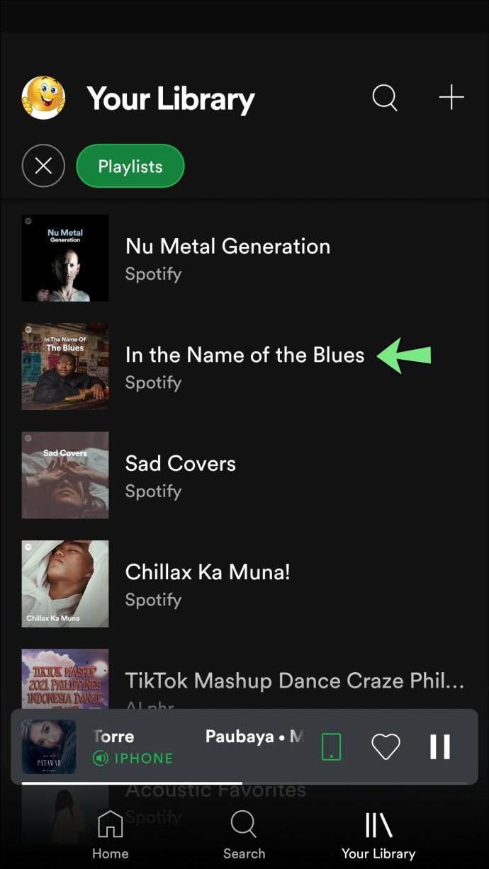 Puoi controllare a chi è piaciuta la tua playlist in Spotify?