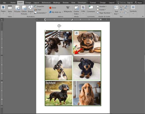 Comment faire un collage de photos dans Microsoft Word