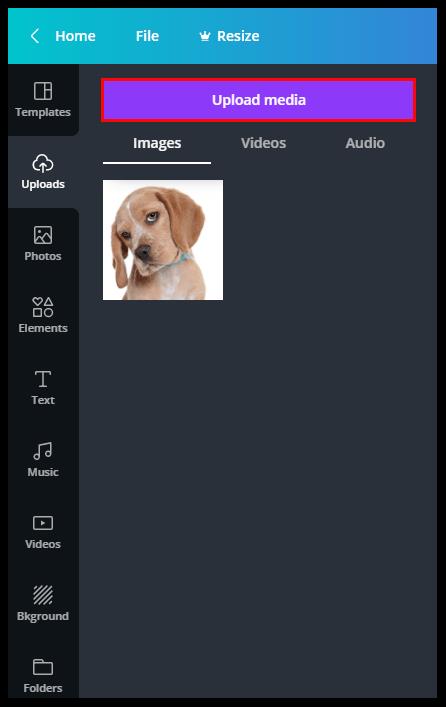 How To Make A Picture Round In Canva