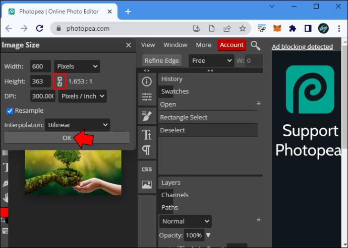 How To Resize An Image In PhotoPea