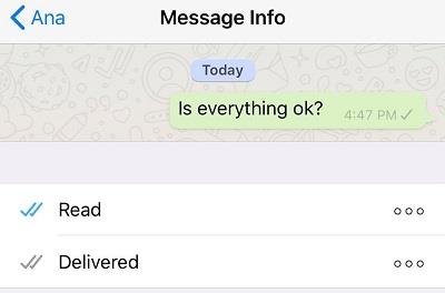 Why Does My Message Only Have One Tick In WhatsApp?