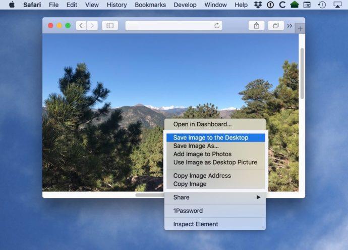 Comment copier et enregistrer des images à partir de Safari sur Mac