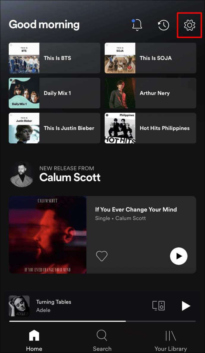 How To Turn On Or Off Canvas In Spotify